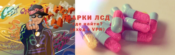амф Снежногорск