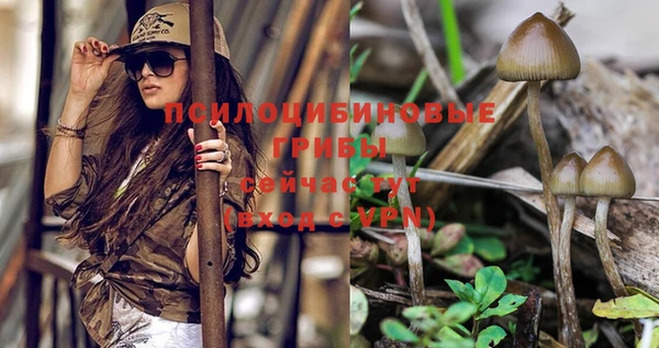 apvp Верхний Тагил