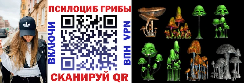 Галлюциногенные грибы мицелий  купить наркотик  Жирновск 